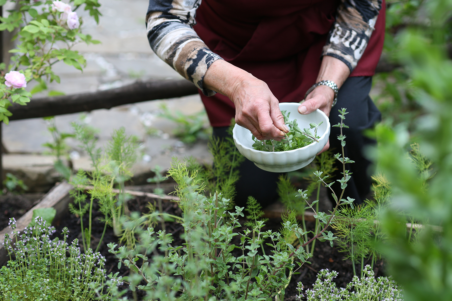 Freshly picked herbs from the Klinec homestead garden