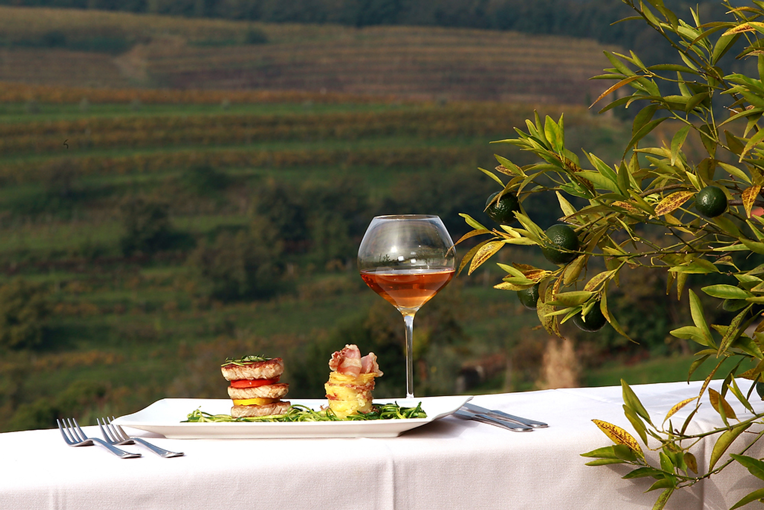 Homestead culinary dish paired with macerated amber wine